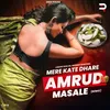 About Mere Kate Dhare Amrud Masale (Remix) Song